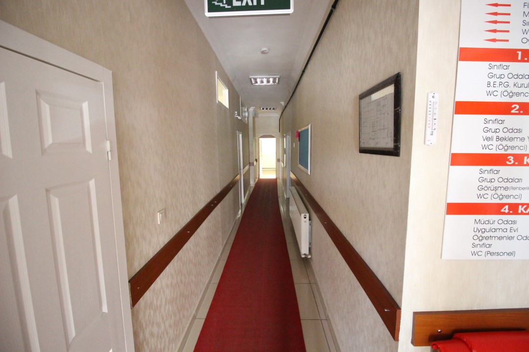 Terapi Seansı